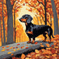 black and tan dachshund standing on a log among orange autumn leaves, paint by numbers kit