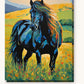 Black Stallion in the Golden Meadow paint by numbers kit on stretched canvas