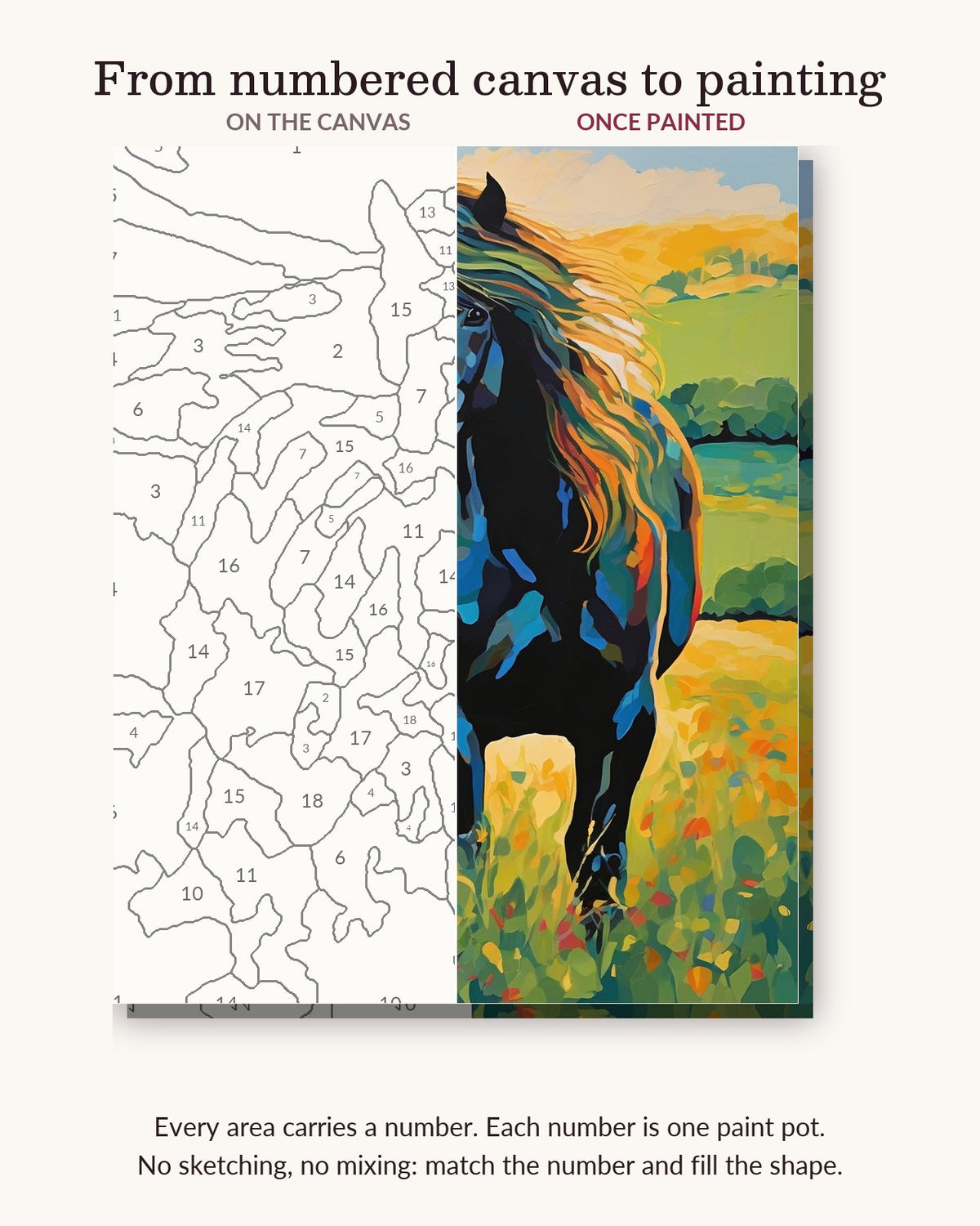 Black Stallion in the Golden Meadow numbered canvas next to the finished painting