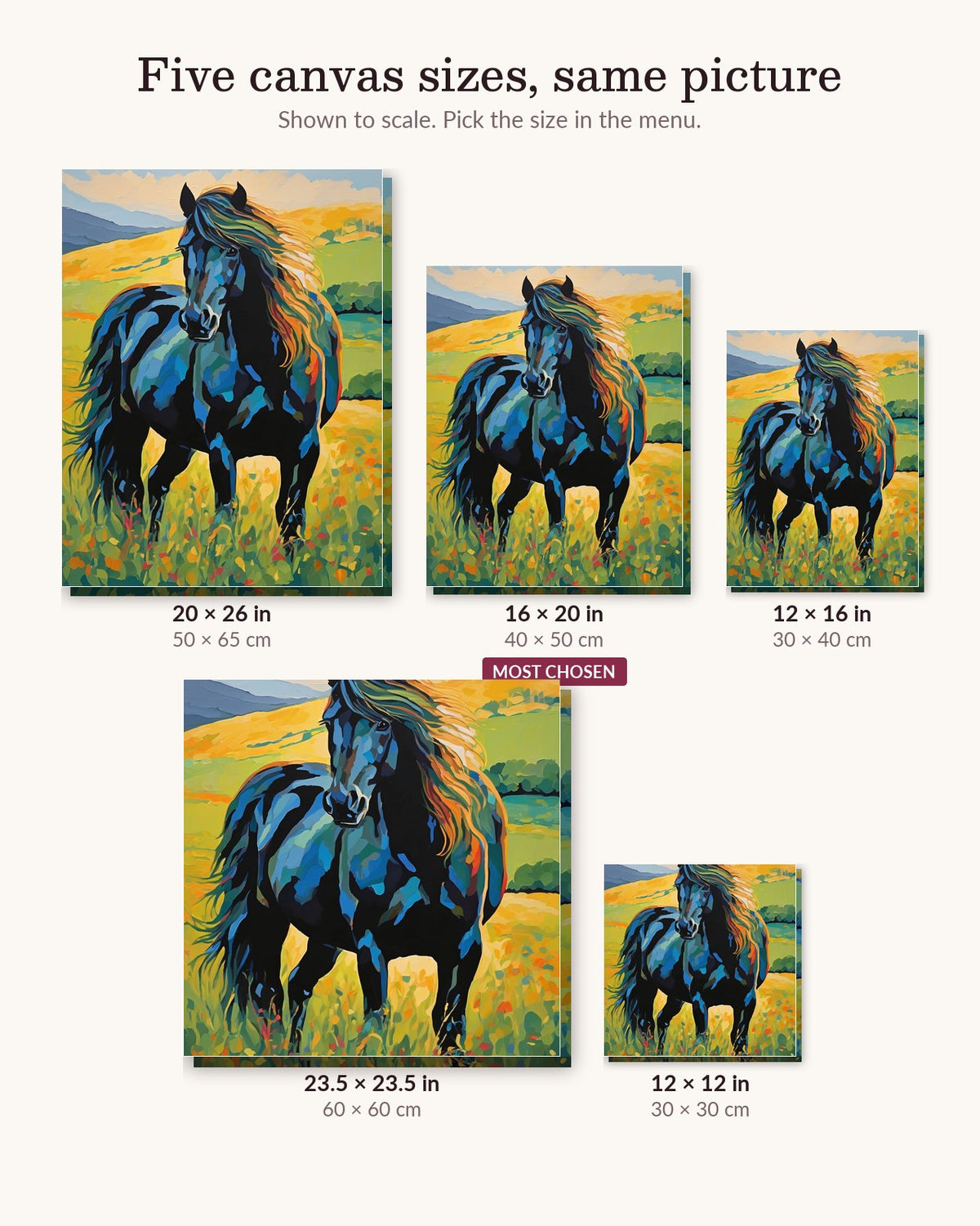 Black Stallion in the Golden Meadow canvas sizes from 12 x 12 to 23.5 x 23.5 inches