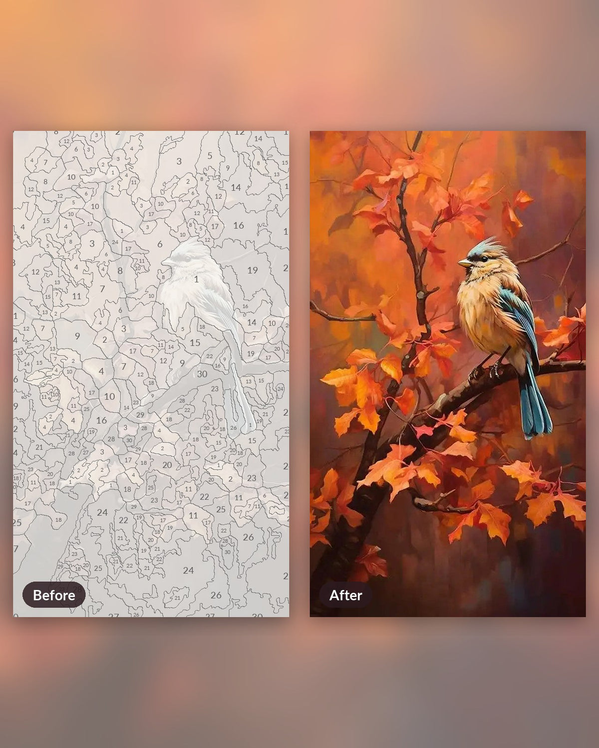 Blue Jay paint by numbers kit, before and after