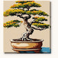 Bonsai Tree in a Clay Pot paint by numbers kit on stretched canvas
