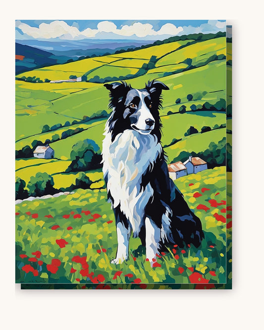 Border Collie in the Poppy Hills paint by numbers kit on stretched canvas