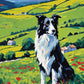 border collie sitting in a poppy meadow with green hills and farmhouses, paint by numbers kit