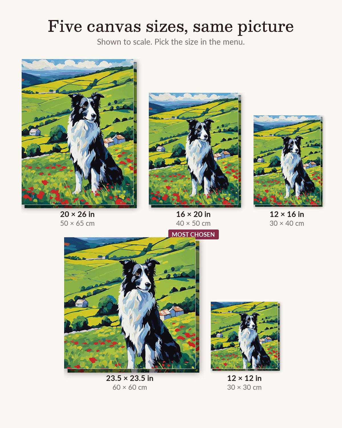 Border Collie in the Poppy Hills canvas sizes from 12 x 12 to 23.5 x 23.5 inches