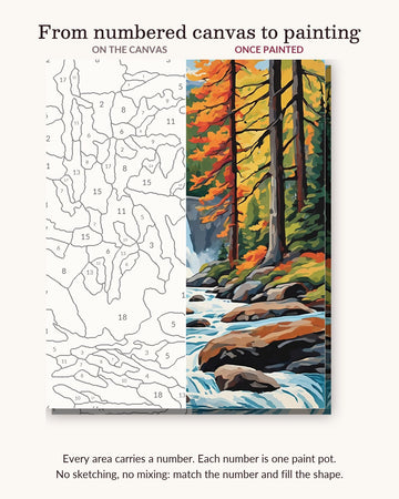 Brown Bear by the Forest Waterfall numbered canvas next to the finished painting