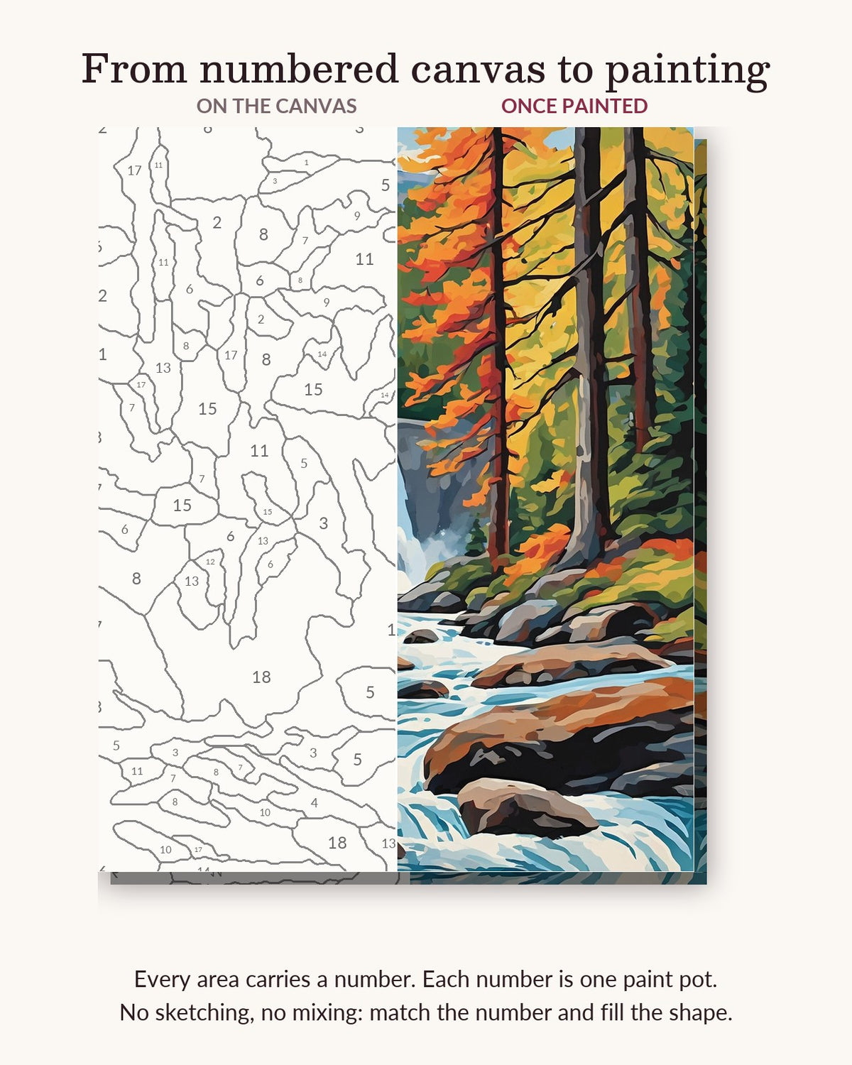 Brown Bear by the Forest Waterfall numbered canvas next to the finished painting