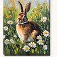 Brown Rabbit in the Daisy Meadow paint by numbers kit on stretched canvas