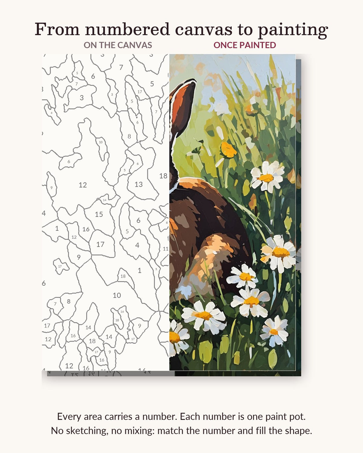 Brown Rabbit in the Daisy Meadow numbered canvas next to the finished painting
