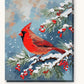 Cardinal on the Snowy Pine paint by numbers kit on stretched canvas