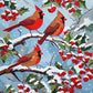 three red cardinals on a snowy holly branch with red berries, paint by numbers kit