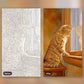 Curious Cat paint by numbers kit, before and after