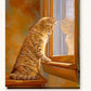 Curious Cat paint by numbers kit on stretched canvas