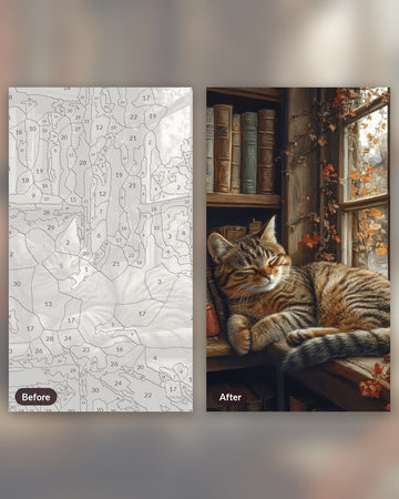 Cat Sleeping in Closet paint by numbers kit, before and after