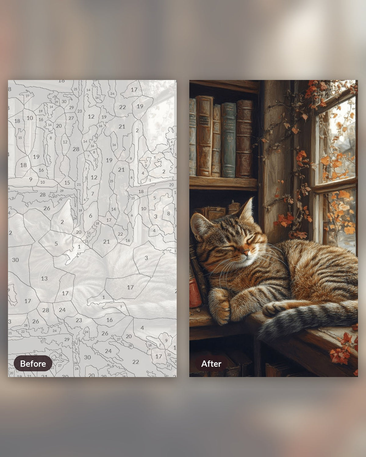 Cat Sleeping in Closet paint by numbers kit, before and after