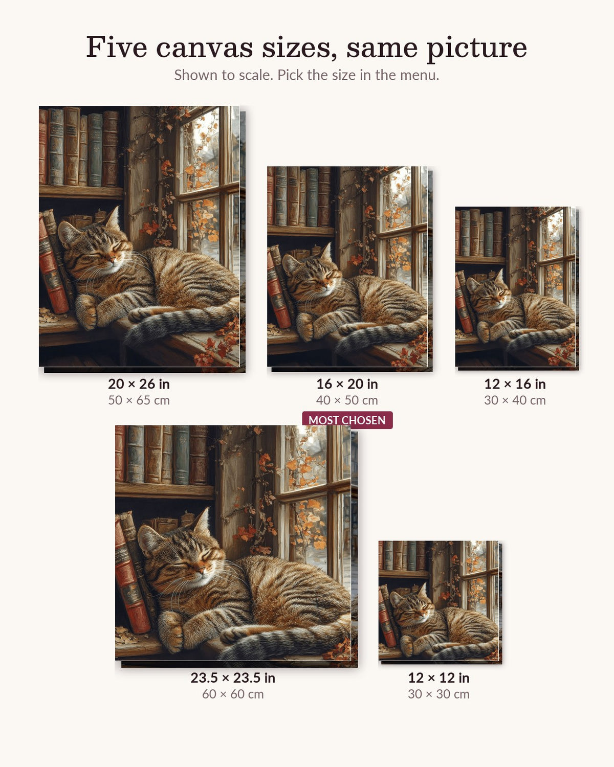 Cat Sleeping in Closet canvas sizes from 12 x 12 to 23.5 x 23.5 inches