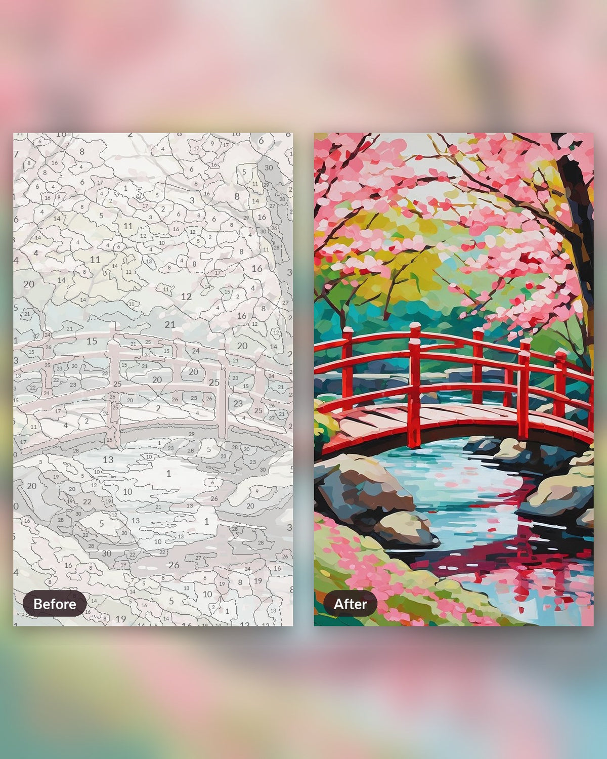 Cherry Blossom Bridge paint by numbers kit, before and after