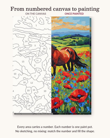 Chestnut Horse in the Wildflowers numbered canvas next to the finished painting