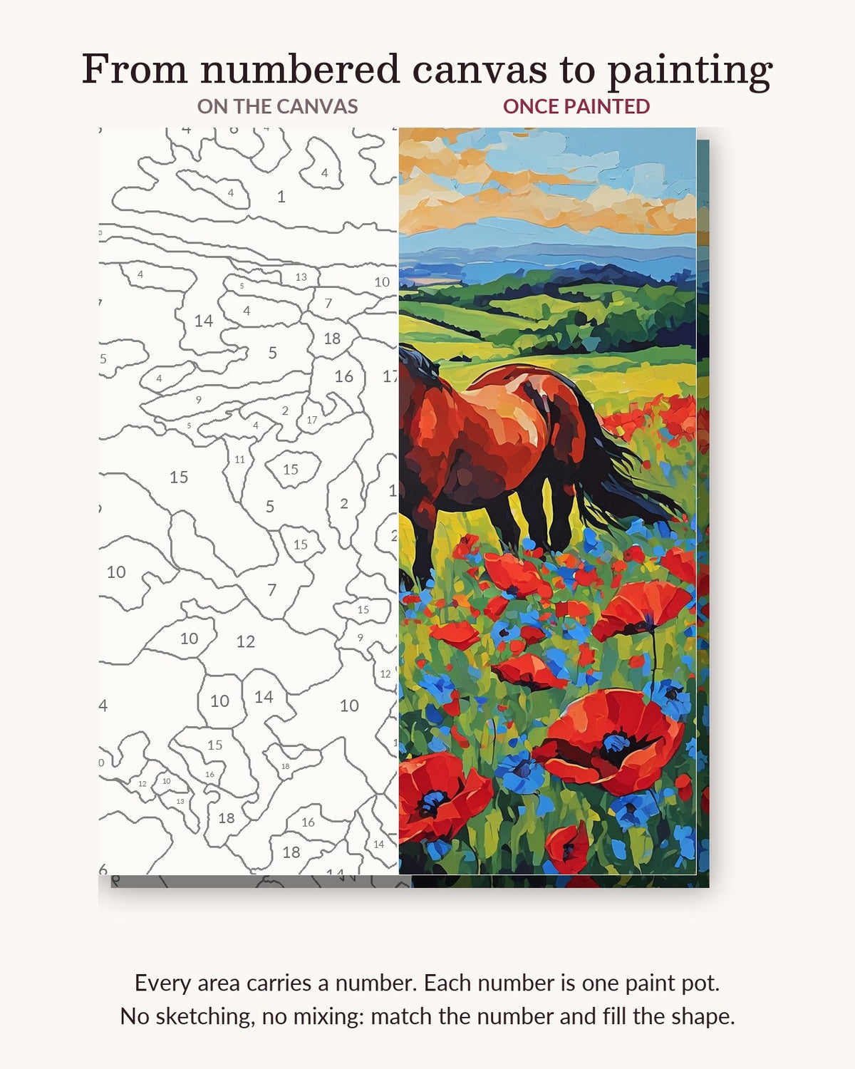 Chestnut Horse in the Wildflowers numbered canvas next to the finished painting