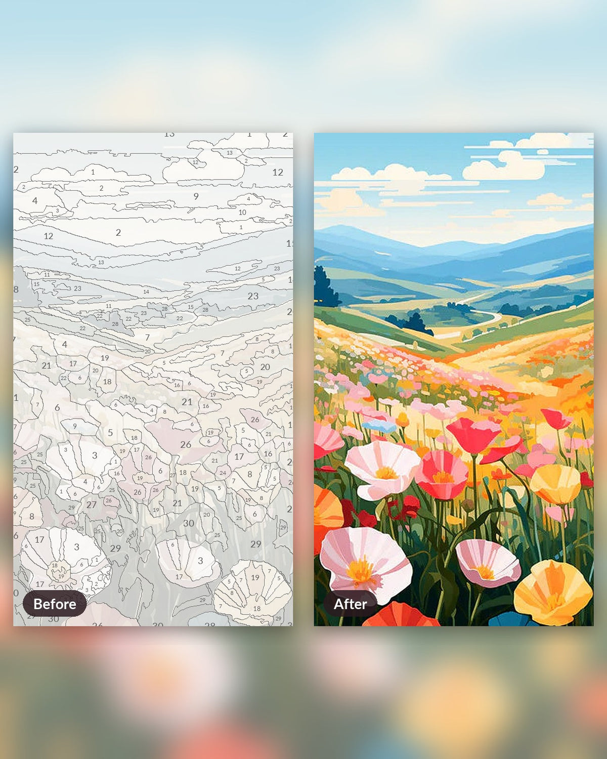 Colored Flower Field paint by numbers kit, before and after