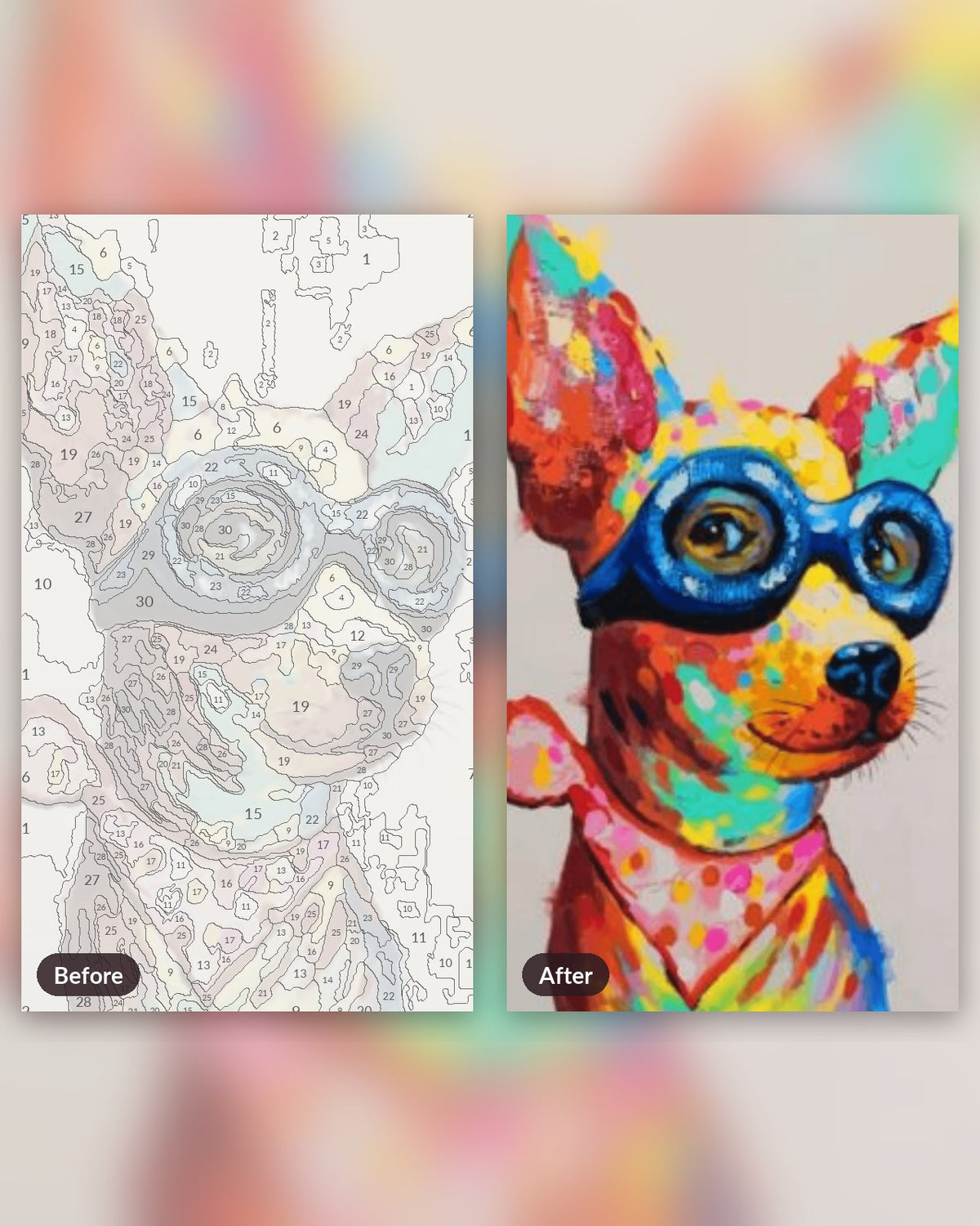 Colorful Dog With Glasses paint by numbers kit, before and after