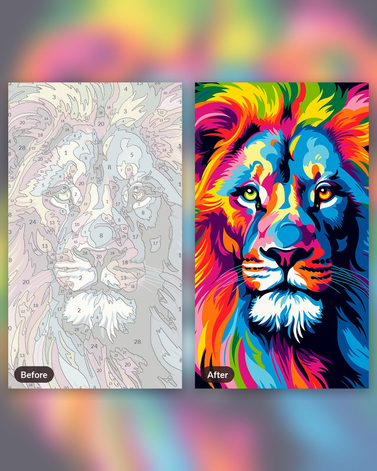 Colorful Lion paint by numbers kit, before and after