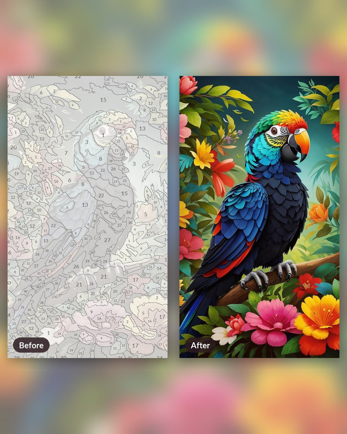 Colorful Parrot paint by numbers kit, before and after
