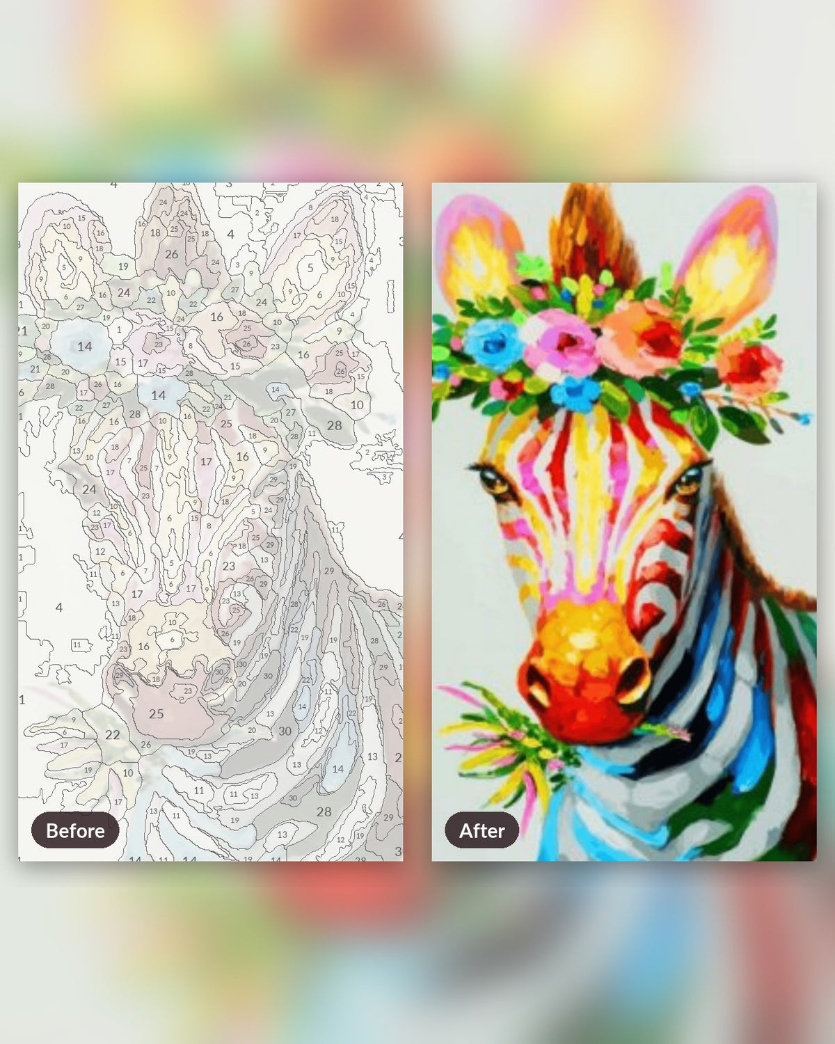 Colorful Zebra With Flowers paint by numbers kit, before and after