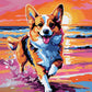Corgi at the Shore paint by numbers kit, corgi running on wet sand at sunset