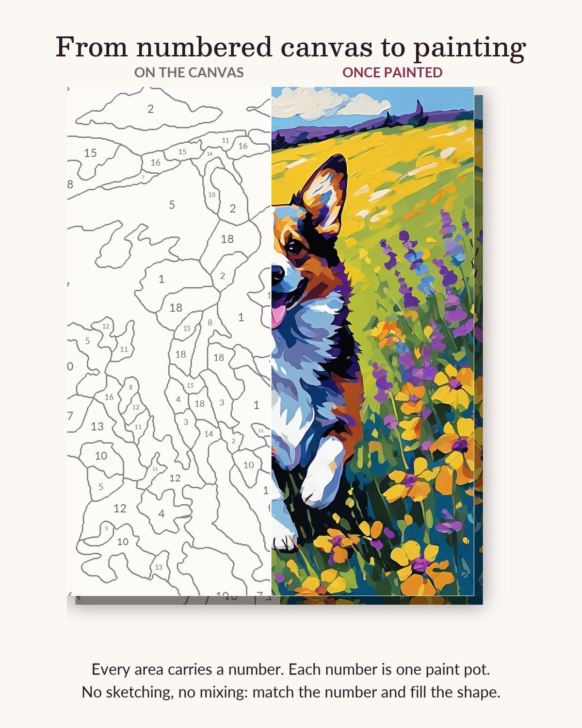 Corgi in the Flower Meadow numbered canvas next to the finished painting