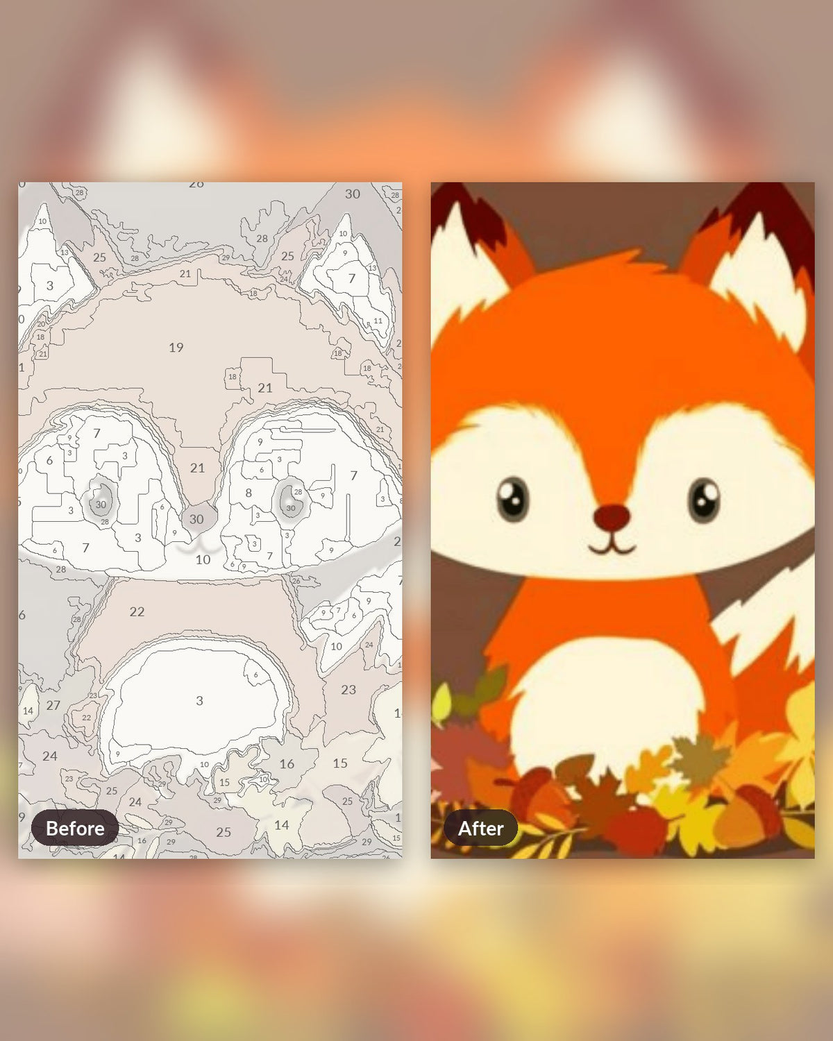 Cute Baby Fox paint by numbers kit, before and after