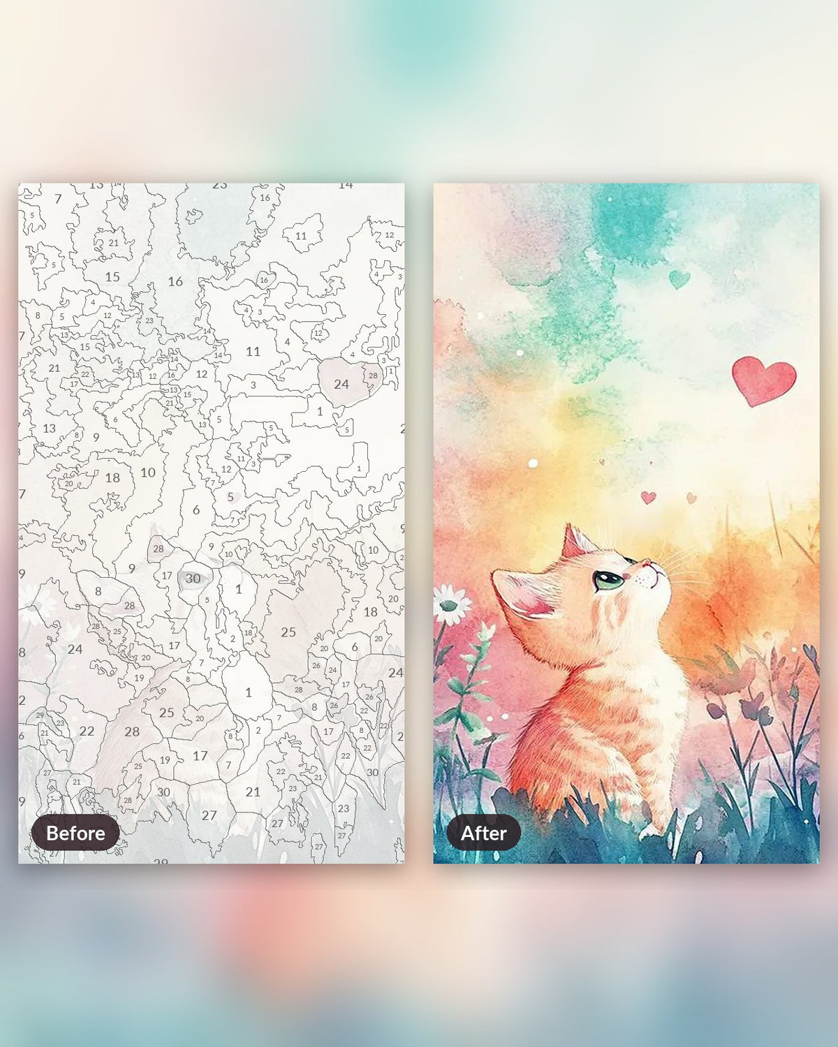 Cute Kitten Cat paint by numbers kit, before and after