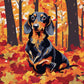 Dachshund in the Leaves paint by numbers kit, long haired dachshund standing in autumn leaves