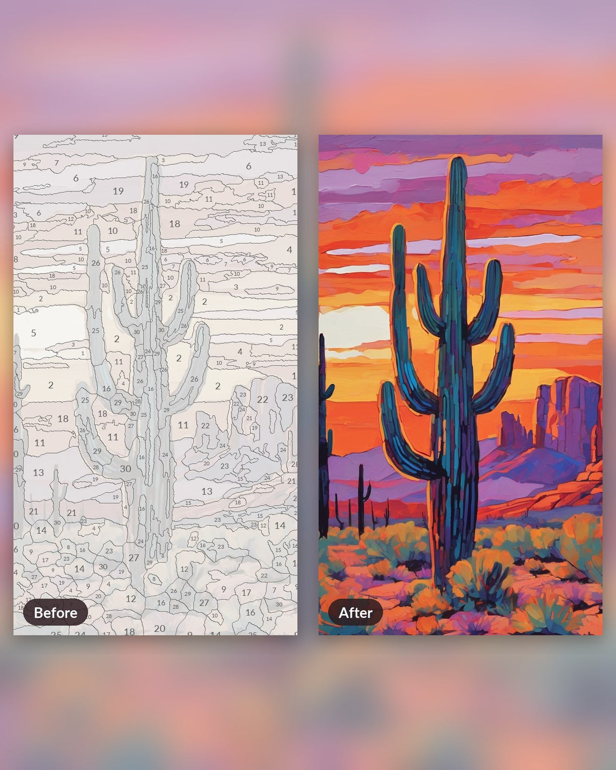 Desert Cactus Sunset paint by numbers kit, before and after