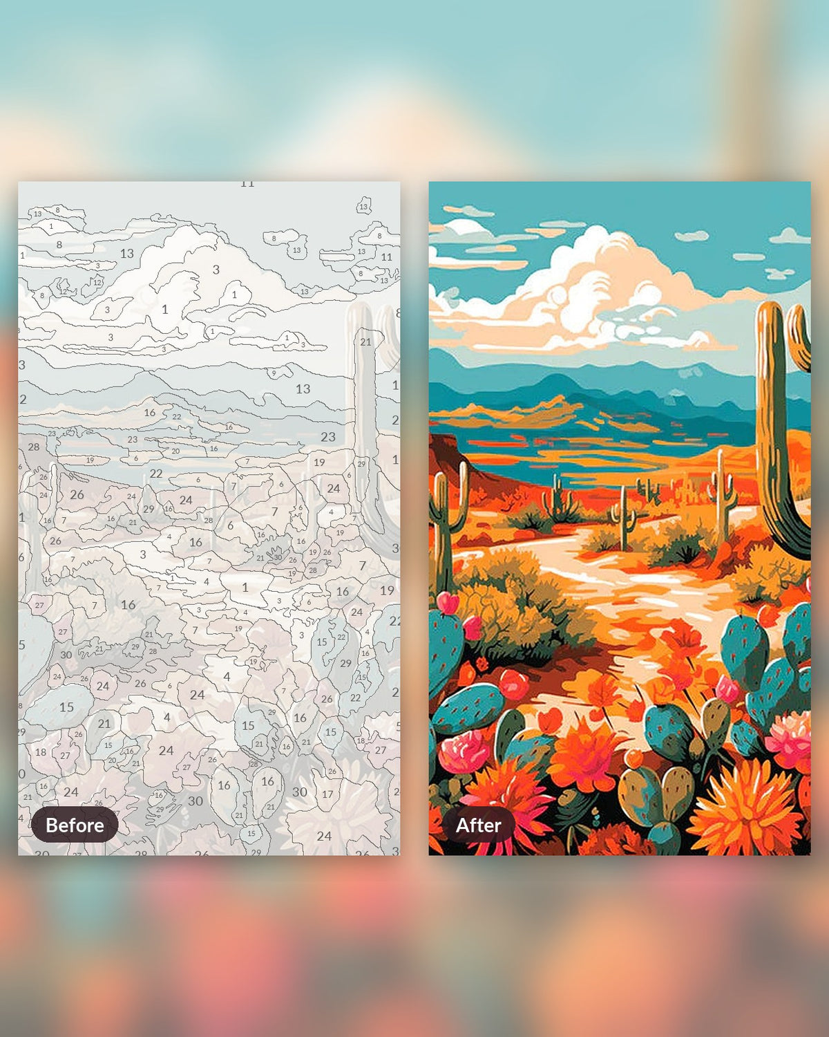 Desert Flora Hues paint by numbers kit, before and after