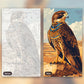 Divine Falcon Horus paint by numbers kit, before and after