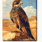 Divine Falcon Horus paint by numbers kit on stretched canvas