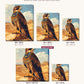 Divine Falcon Horus canvas sizes from 12 x 12 to 23.5 x 23.5 inches
