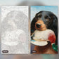 Dog and Prey paint by numbers kit, before and after