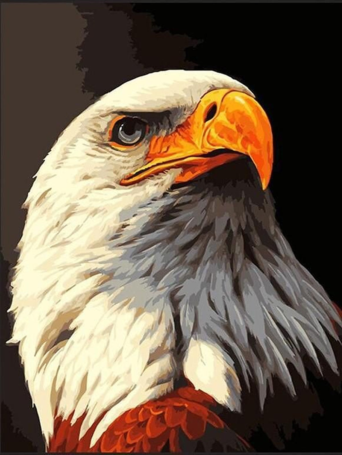 Eagle The Bird Painting by Numbers Premium Kit