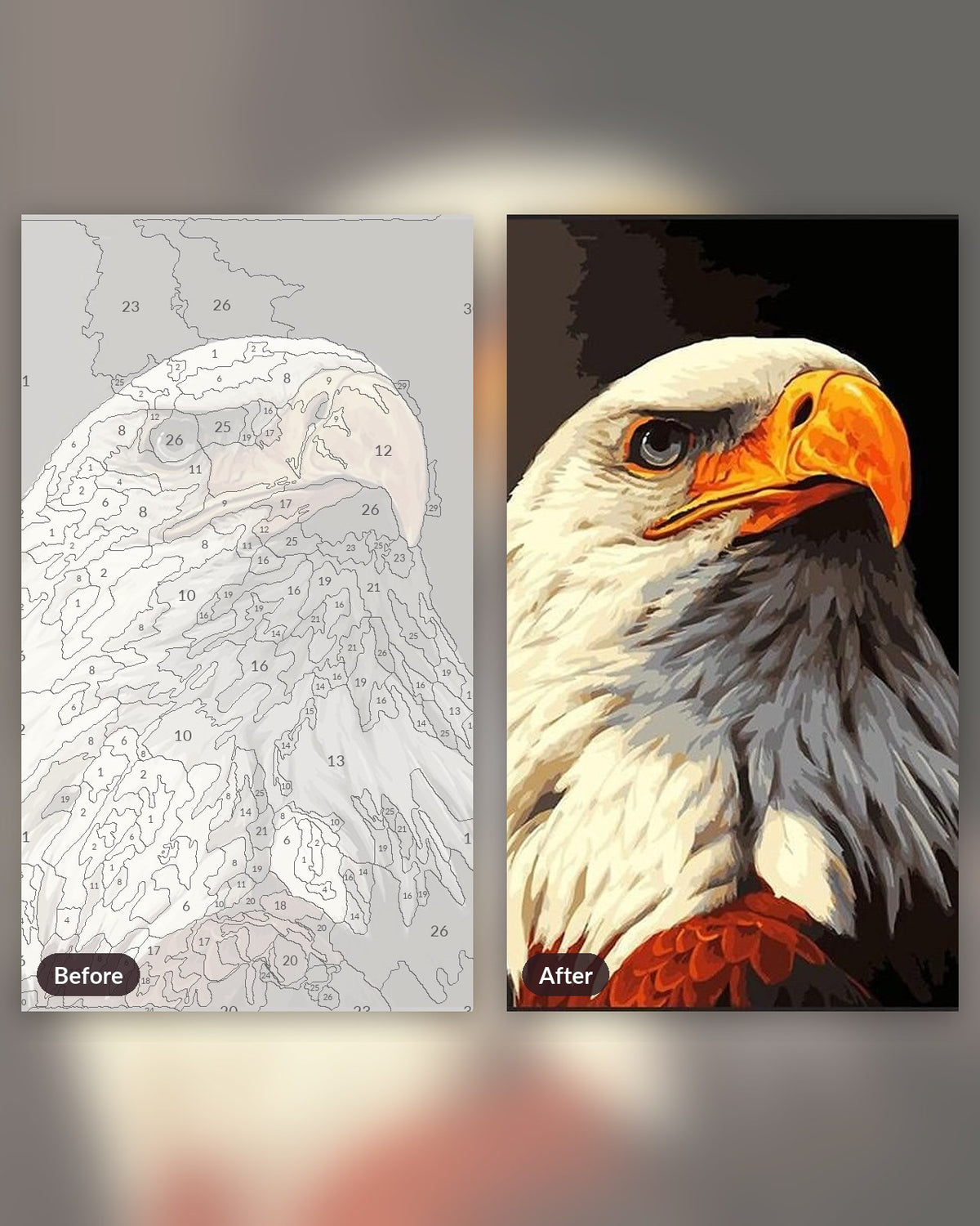 Eagle The Bird paint by numbers kit, before and after