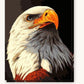 Eagle The Bird paint by numbers kit on stretched canvas