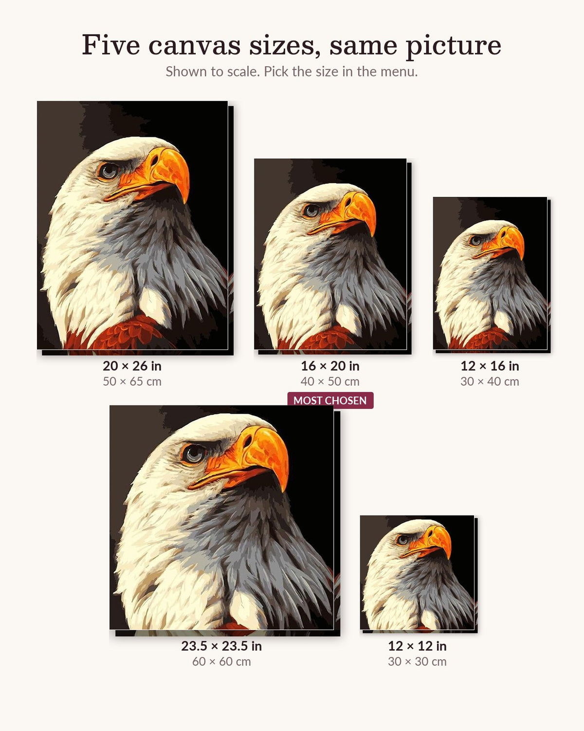 Eagle The Bird canvas sizes from 12 x 12 to 23.5 x 23.5 inches