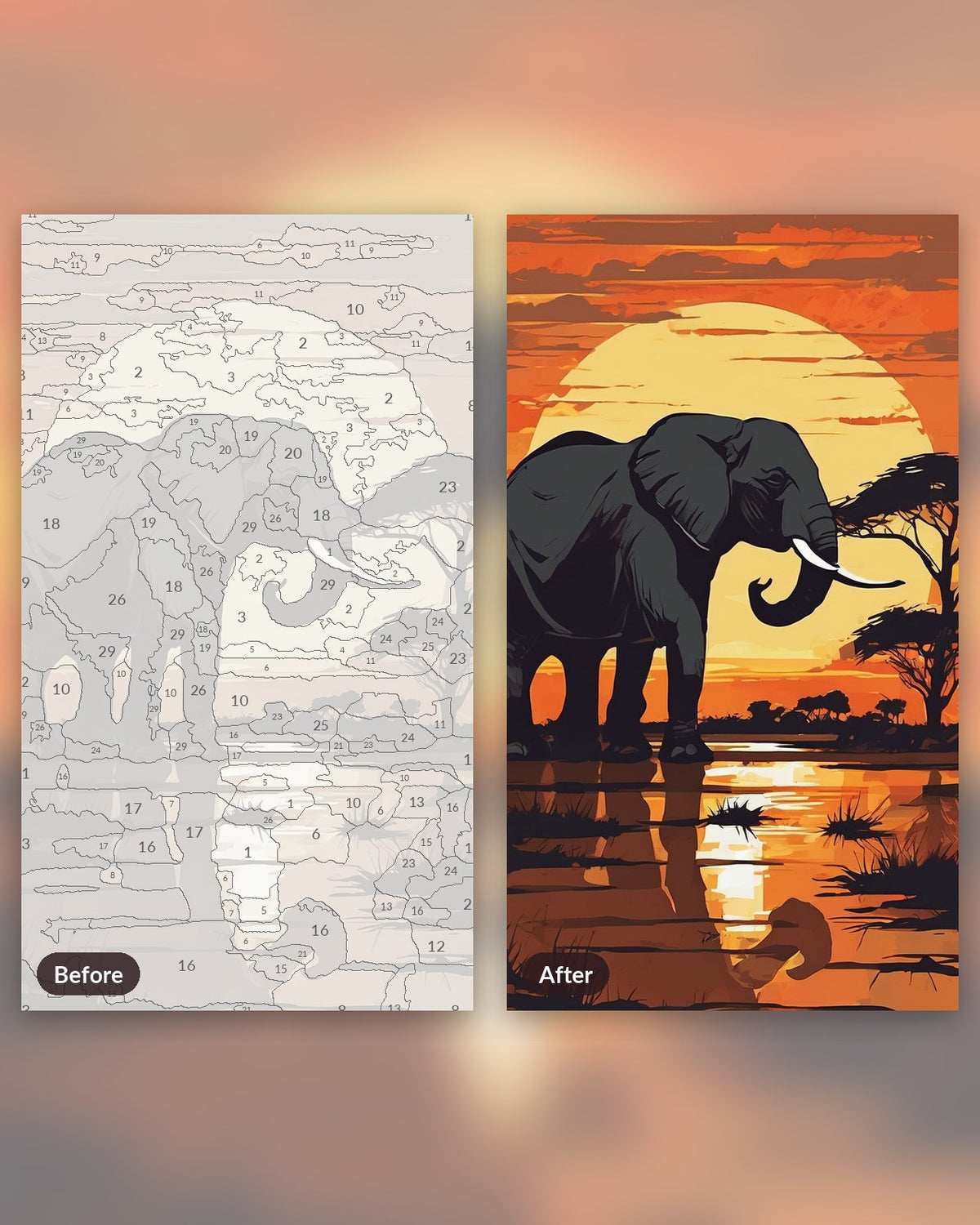 Elephant at Sunset paint by numbers kit, before and after
