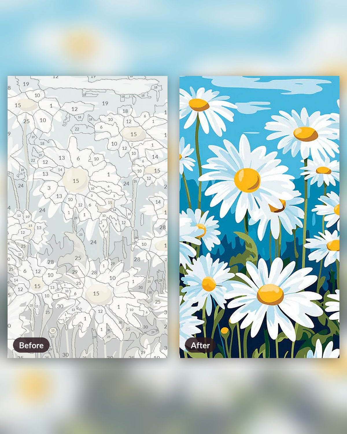 Elysian Daisy Field paint by numbers kit, before and after