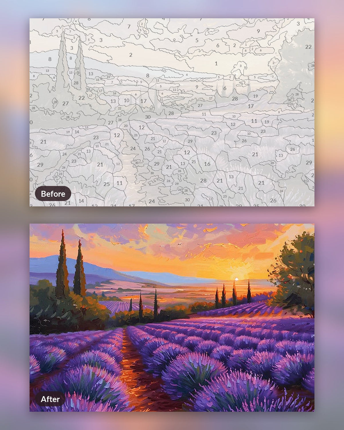 Endless Lavender Fields paint by numbers kit, before and after