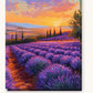 Endless Lavender Fields paint by numbers kit on stretched canvas