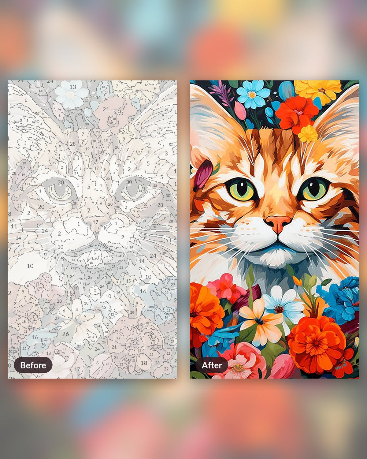 Feline Florals paint by numbers kit, before and after