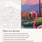 Close-up of the Flamingos in the Lagoon canvas texture and printed numbers