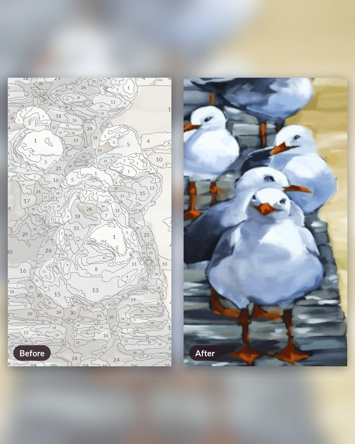 Flock Of Seagulls paint by numbers kit, before and after